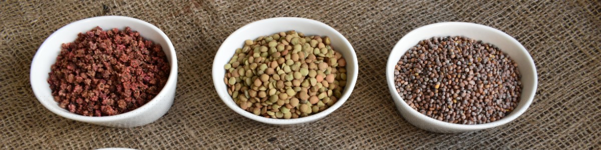 PLANTICO seeds of plants gardening vegetables flowers