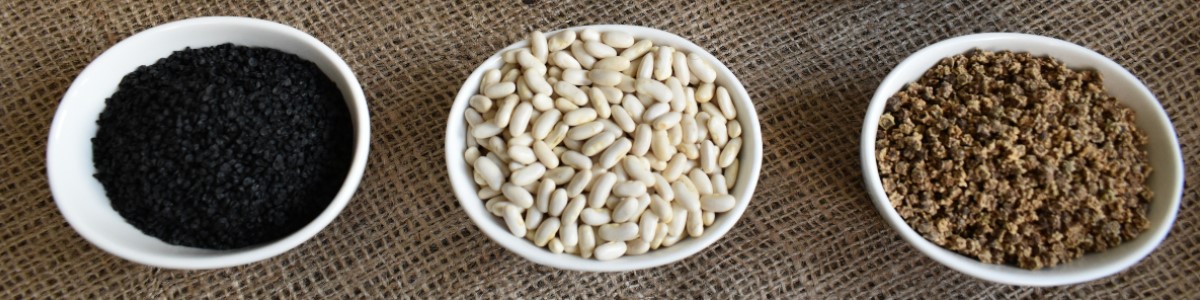 PLANTICO seeds of plants gardening vegetables flowers