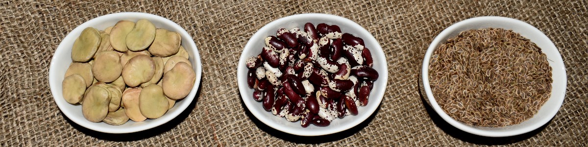 PLANTICO seeds of plants gardening vegetables flowers